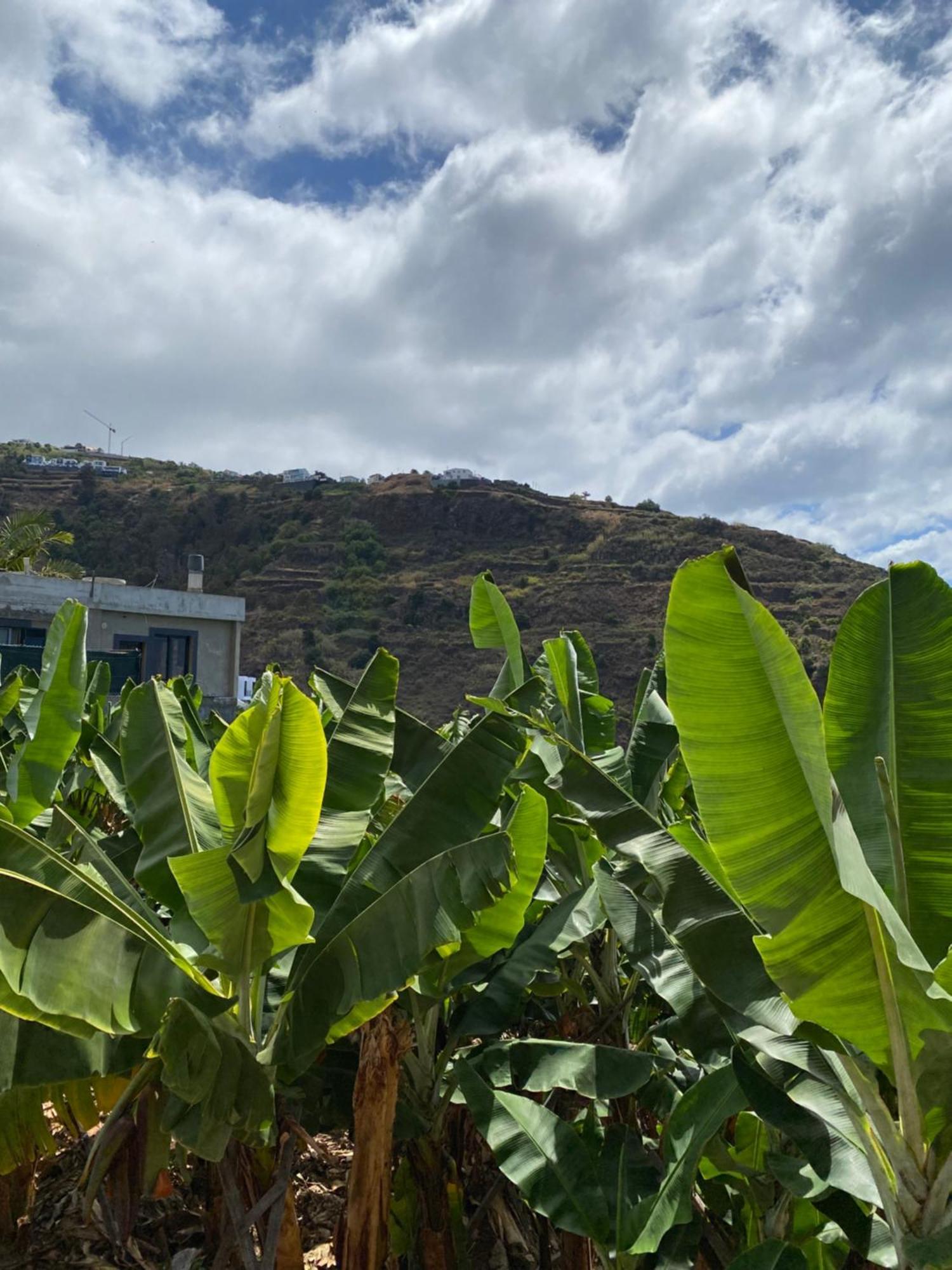 Ferienwohnung Pana House Calheta  Exterior foto